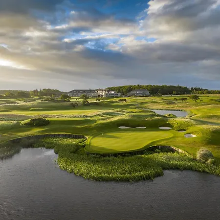 The Hawthorn By Galway Bay