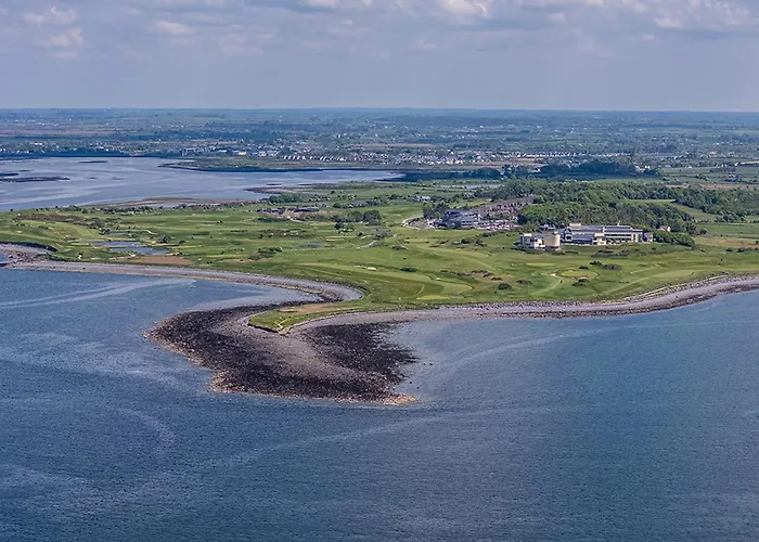 The Hawthorn By Galway Bay